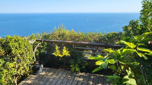 Cap d'Ail Apartment | Costa Plana apartment with terrace and sea view