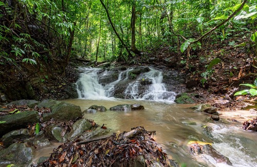 Baru Villa | Costa Rica Jungle Experience