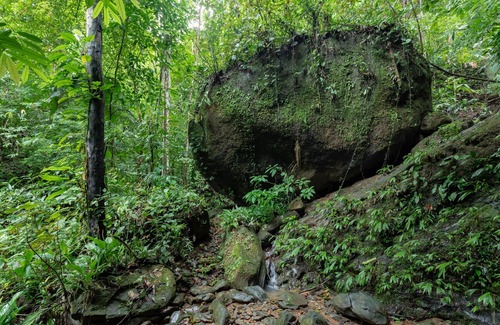 Baru Villa | Costa Rica Jungle Experience