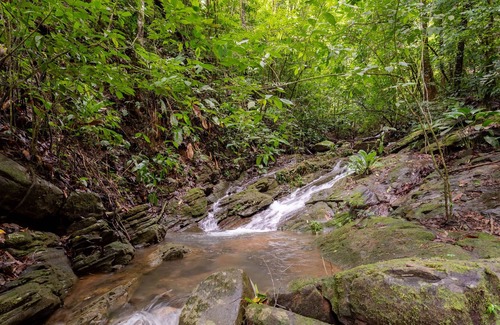 Baru Villa | Costa Rica Jungle Experience