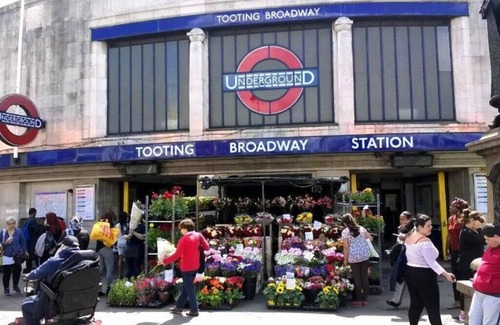 Tooting House | Cosy 2 BDR House in SW London Entire Place