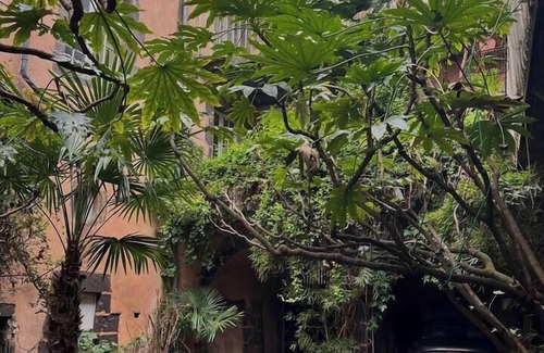 Clermont Ferrand City Centre Apartment | Cosy accommodation 2 steps from the cathedral