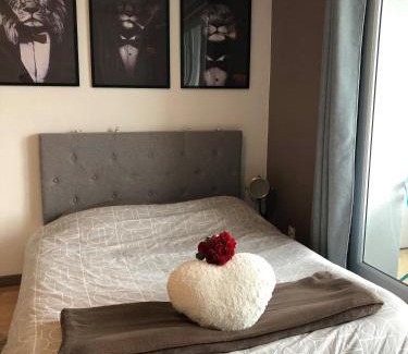 Haguenau Apartment | Cosy-Adventure : Haguenau