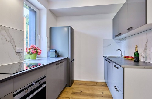 Svoboda nad Upou Apartment | Cosy apartment for 4 people with WIFI, TV, terrace, pets allowed and parking