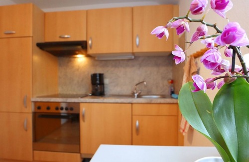 Villingen-Schwenningen Apartment | Cosy apartment with garden in the Black Forest