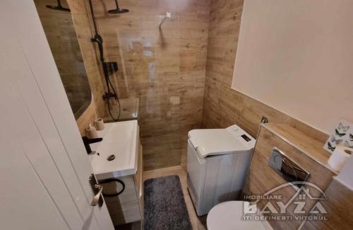 Baia Mare Apartment | Cosy Apartment Daliei 2A