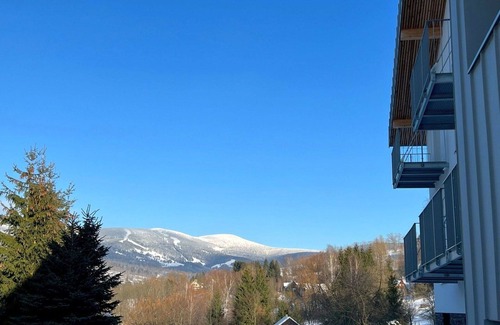 Rokytnice nad Jizerou Apartment | Cosy apartment for 3 guests with pool, WIFI, TV, terrace and parking