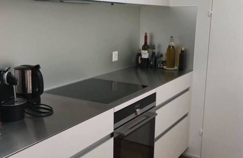 Lenk Apartment | Cosy apartment for 5 guests with WIFI and balcony