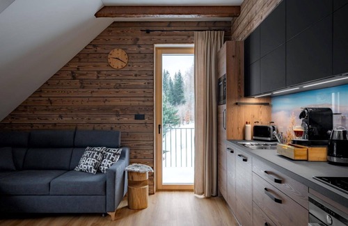 Dolni Morava Apartment | Cosy apartment for 6 guests with WIFI, TV and terrace