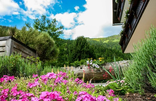 Donnersbachwald Apartment | Cosy apartment for 4 people with WIFI, TV, terrace and panoramic view