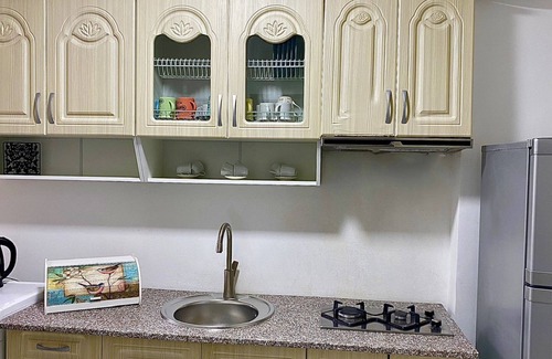 Tbilisi Apartment | cosy apartment in tbilisi with good location and with lake view