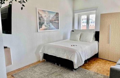 Lausanne Center Apartment | Cosy attic flat Lausanne center