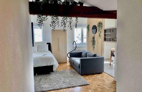 Lausanne Center Apartment | Cosy attic flat Lausanne center