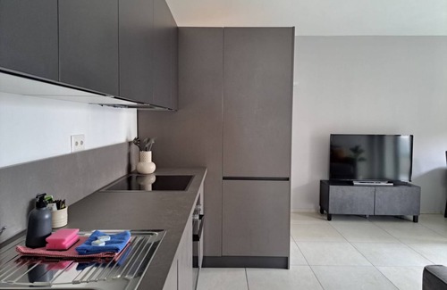 Viganello Apartment | Cosy bilo close to the centre (Urban 1)