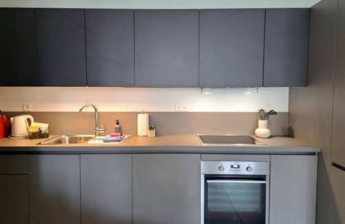 Viganello Apartment | Cosy bilo close to the centre (Urban 1)