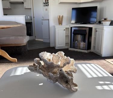 Aberystwyth Other | Cosy Caravan in Clarach Bay