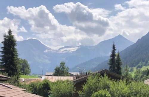 Zweisimmen Nr Gstaad Apartment | Cosy Chalet mountain view - Gstaad