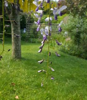 Verwood House | Cosy Cottage in Verwood, Dorset