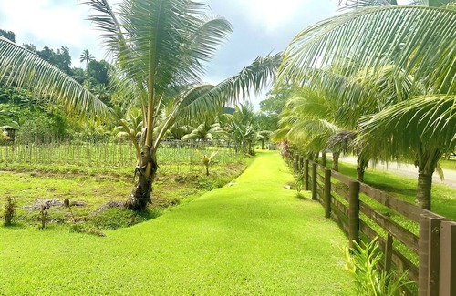 Northern Division Apartment | Cosy Farmstay Tuvurara Savusavu