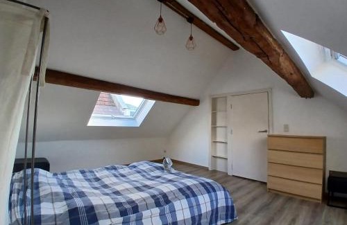 Tienen House | Cosy homestay in Quiet historic area