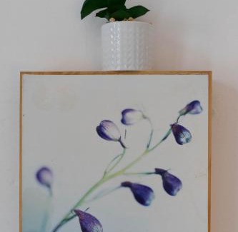 Leith Apartment | Cosy Leith Escape - Edinburgh City