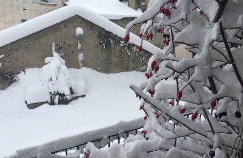Mont-Louis House | Cosy mountain house in Cerdagne (66)