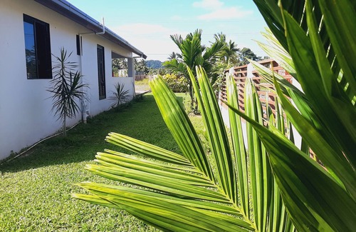 Pacific Harbour Bed & Breakfast | Cosy Nature's Best sites for shark diving, Waterfalls, village tours.