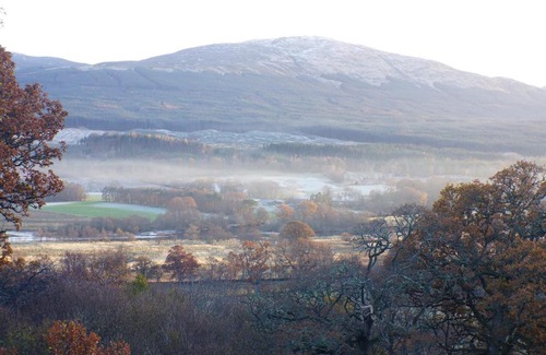 Killin Cabin | Cosy Rowan woodland lodge no1