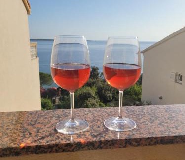 Mandre Apartment | Cosy seaside family apartment Iris in Mandre
