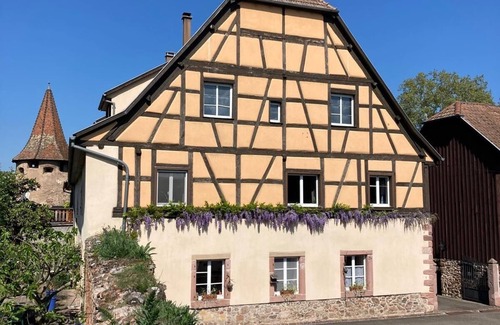Guemar House | Cosy studio for 2 people, beautiful residence in central Alsace, with kitchen and wifi