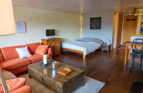 Gryon Apartment | Cosy studio on the ski slopes