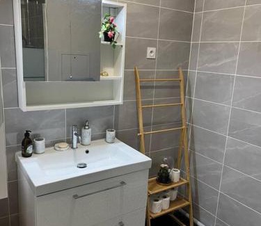 Chevilly-Larue Apartment | Cosy T2 au porte dOrly Rungis au pied du metro ligne 14