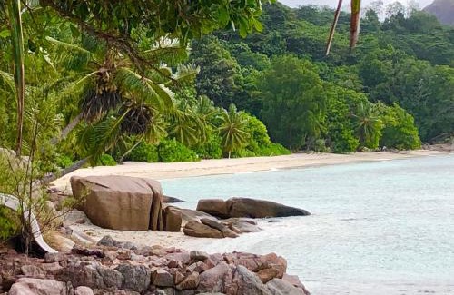 Praslin Island Apartment | Cote Mer villa