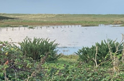Neville-sur-Mer House | Cottage Bord de mer