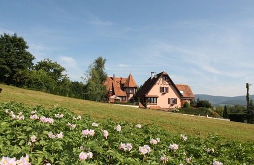 Dieffenbach-au-Val House | Cottage for 8-10 people to 12 people