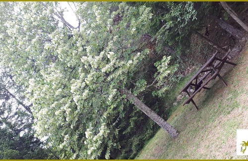 La Chapelle-en-Vercors Apartment | Cottage completely renovated and comfortable !! T2 on the ground floor