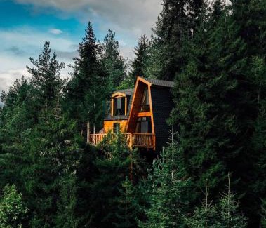 Abastumani Cabin | Cottage Galileo in Abastumani