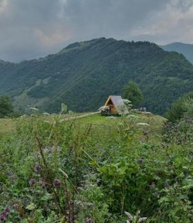 Roshka Villa | Cottage in chirdili