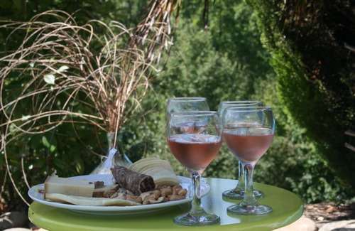 Gaillac House | Cottage in the heart of vineyards in an idyllic setting