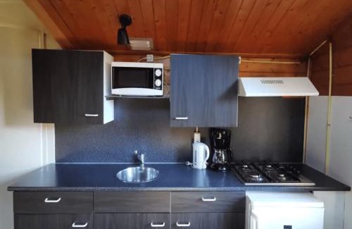 Langelo Ski Chalet | Cottage in Veluwe near Hoge Veluwe Park