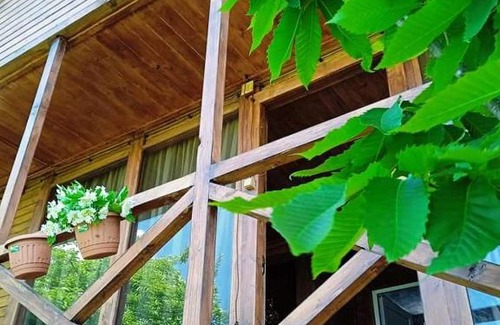 Ambrolauri Apartment | Cottage NANIDA