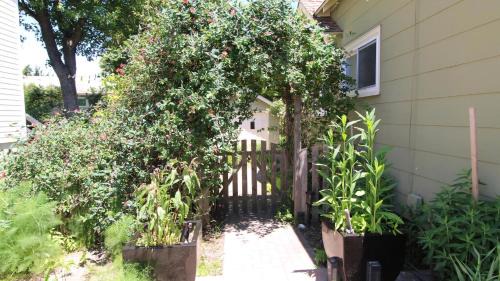 Cape May Point House | Cottage On Cambridge
