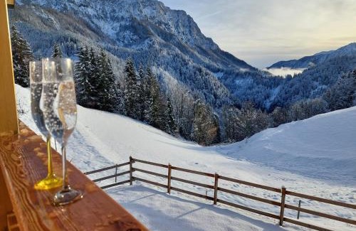 Solcava House | Cottage Osojnik - Alpine escape with Wellness