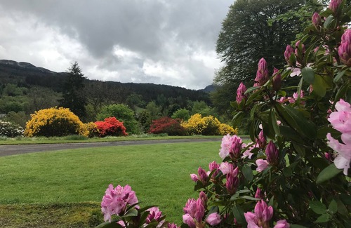Strathyre Cottage | Cottage retreat in wooded secluded private grounds