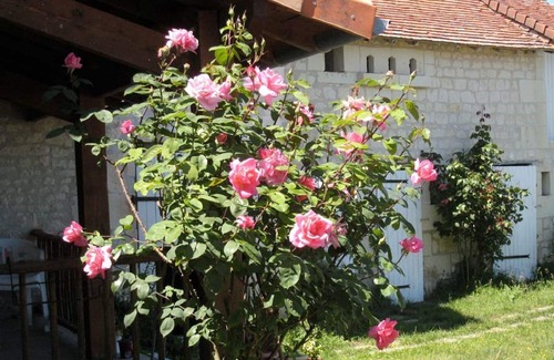 Assay House | Cottage touraine between Chinon and richelieu fully air-conditioned