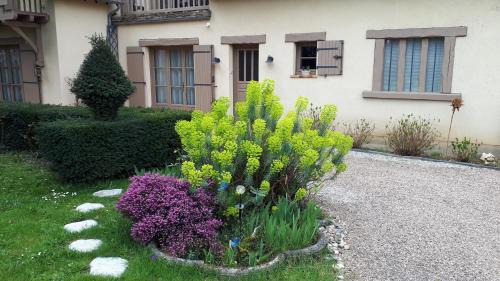 Limetz-Villez Bed & Breakfast | Couleurs du temps - pres Giverny