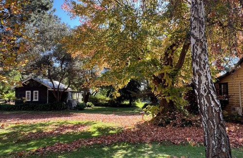 Rosa Brook Cottage | Country charm in the heart of Margaret River