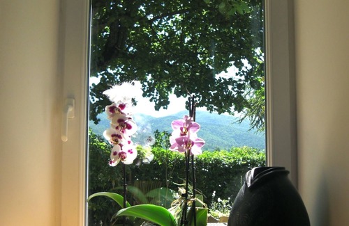 Dieulefit House | Country Cottage /Gite - Dieulefit