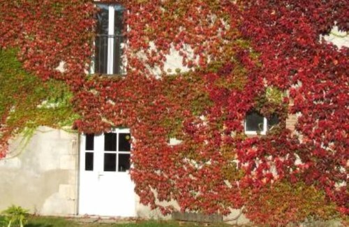Ouzouer-sur-Trezee House | Country holiday home independant and calm