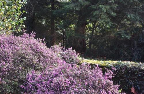 Le Mesnil-Amand House | Country House La Feronnière